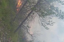 Zagorelo na strmem in nedostopnem terenu nad Žerjavom