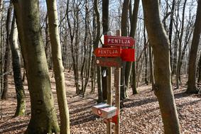 Pentlja, planinska pot čez barje in Krim, dolga kar 84 kilometrov #video