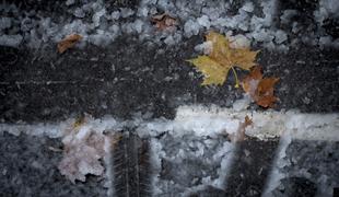 Ponoči se bo meja sneženja spustila do nižin