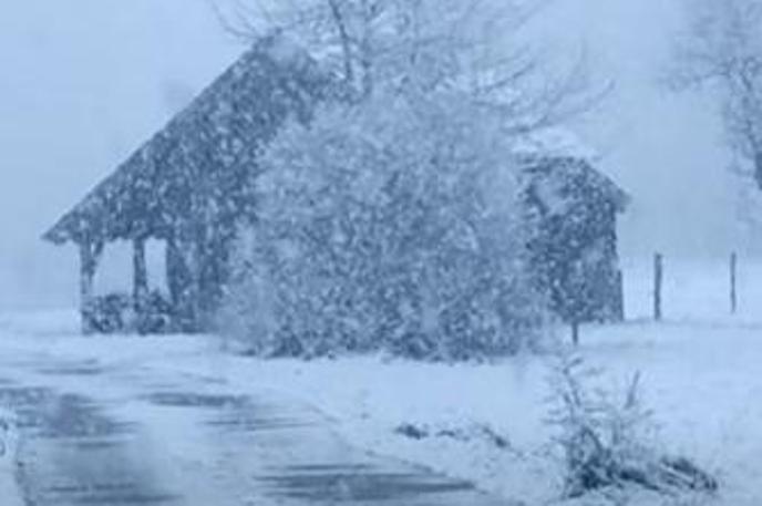 sneg, Bled | Foto TopFoto Neurje/Miha Zurer/Facebook