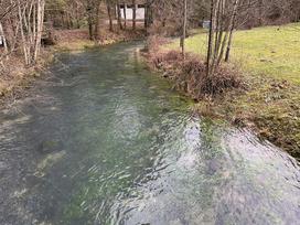 Kostanjevica na Krki, reka Studena