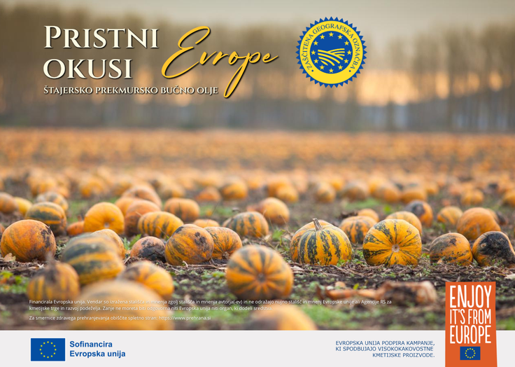 buče na polju, Štajersko prekmursko bučno olje z ZGO | Foto: Verus