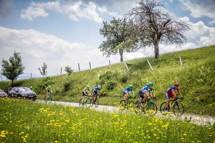 Dirka Po Sloveniji TOP | Foto: Vid Ponikvar