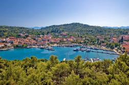 Na hrvaškem otoku Ugljan invazija divjih svinj. "Več jih je kot prebivalcev."