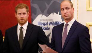 Princ William ne razume, zakaj Harry tako grdo govori o svoji družini