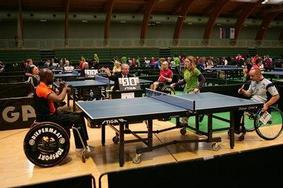 Zlato in bron za Slovenijo