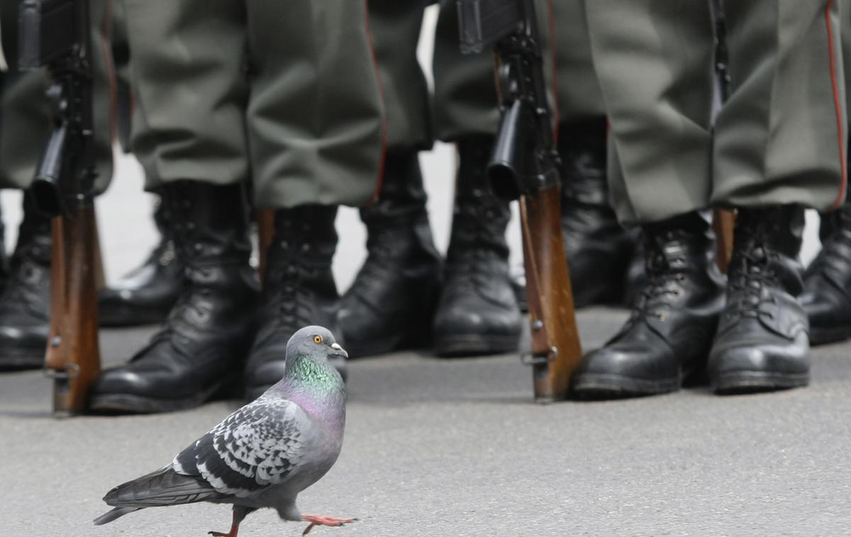 avstrijska vojska | Foto Reuters