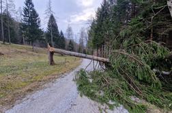 Veter ne popušča: najhuje bo ponoči in jutri dopoldne #vŽivo