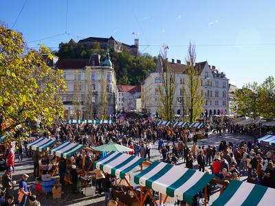 November obljublja vrhunsko vinsko pokušino