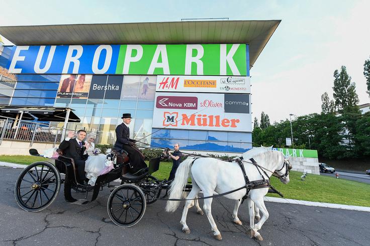 Sanjska poroka v Europarku | Foto: 