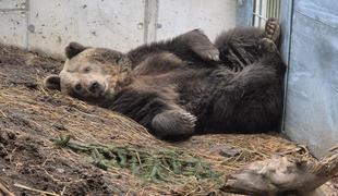 To so v Avstriji njeni najljubši priboljški