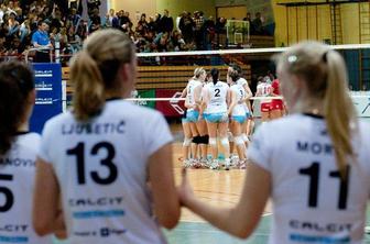 Pričakovan finale: Nova KBM Branik vs. Calcit Volleyball
