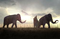 Bodo znanstveniki ponovno oživeli mamuta?