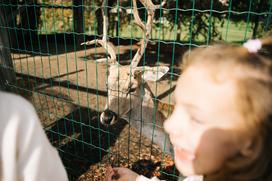 marolt zoo land mcdonalds