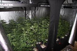 Znova večji zaseg droge v okolici Ljubljane #foto