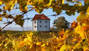 Degustacija za dve osebi v slovenski Toskani #nagradna igra