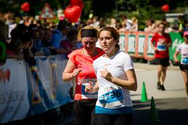 Radenci 2016 2 del