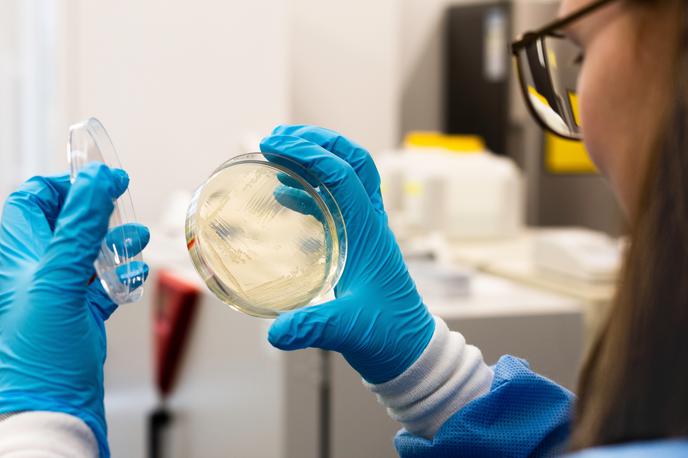 laboratorij, bakterije | Foto Shutterstock