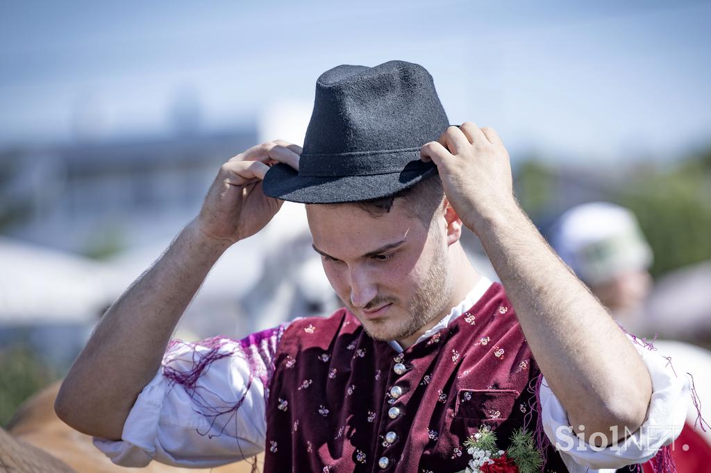 Posavsko štehvanje