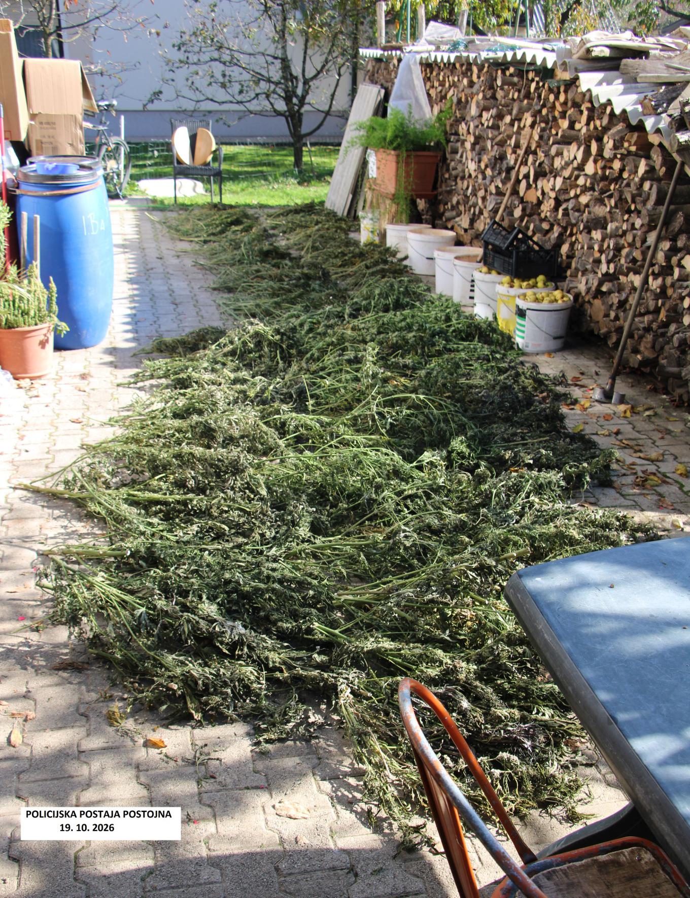 Odziv na mamila: obsežne preiskave, največji zasegi in mednarodne akcije