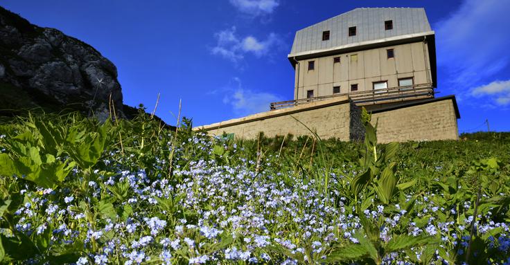 Cojzova koča nosi ime po bratih Zois. Eden od njiju, Karl Zois, je bil znani botanik. V okolici koče boste našli Zoisove zvončnice in kranjske lilije. | Foto: Arhiv Tomaža Bolcarja