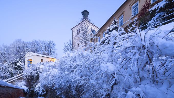 zagreb advent | Foto: 