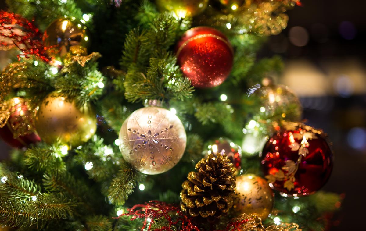 Božično drvesce | Želimo vam vesel in miren božič. | Foto Getty Images