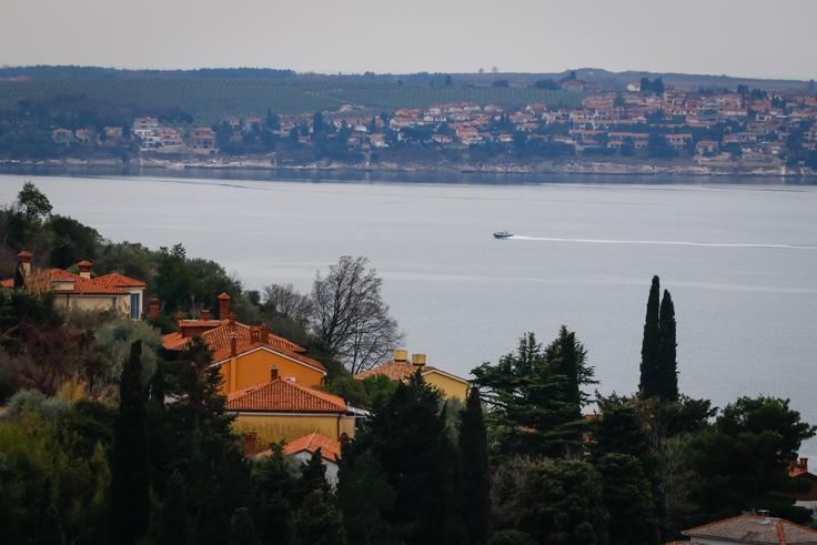 Hrvaška spora s Slovenijo očitno ni pripravljena rešiti mirno in z implementacijo arbitražne razsodbe, meni mednarodna pravnica Dominika Švarc Pipan. | Foto: STA ,