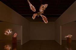 Frank Gehry: Riba je popolne oblike