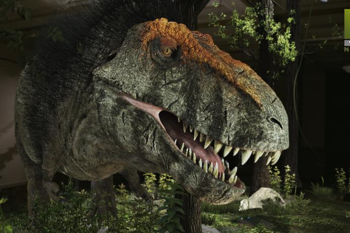Januar na Viasat Nature | Dokumentarec Ponovno odkrivanje T-rexa bo razbil hollywoodske mite in razkril osupljivo resnico o živali, za katero smo vsi mislili, da jo poznamo. | Foto Cineflix