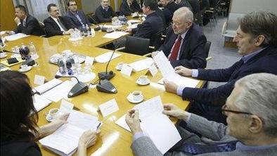SDS ustanovila strokovni svet