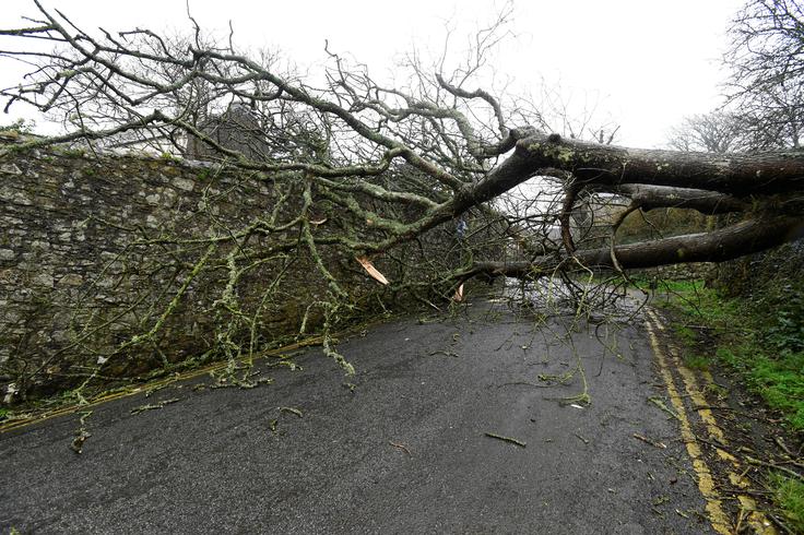 Podrto drevo je zaprlo cesto v Walesu. | Foto: Reuters