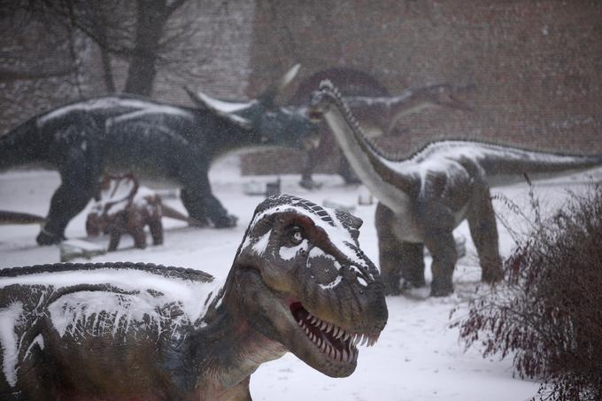dinozaver | Foto: Reuters