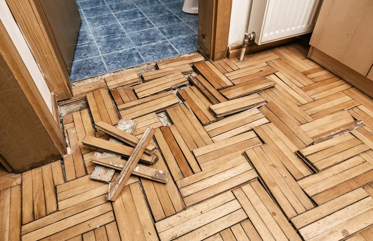 uničen parket po poplavi | Foto: Shutterstock