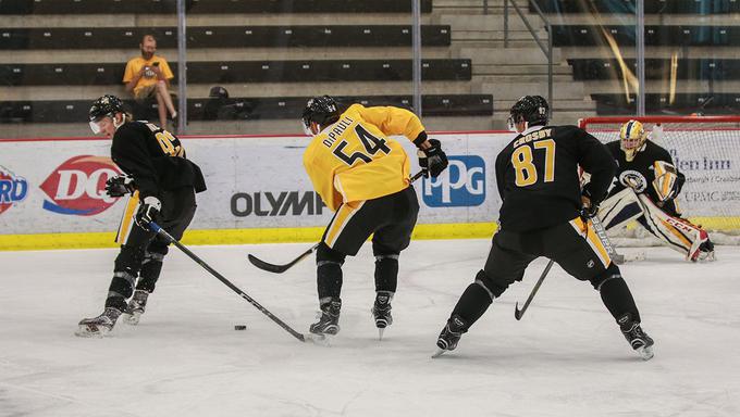 Jan Drozg (levo) je na enem od lanskih treningov sodeloval tudi s kapetanom Pittsburgh Penguins Sidneyjem Crosbyjem. | Foto: Twitter - Voranc