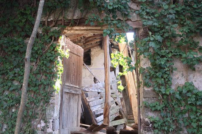 Slapnik, Goriška brda | Foto STA