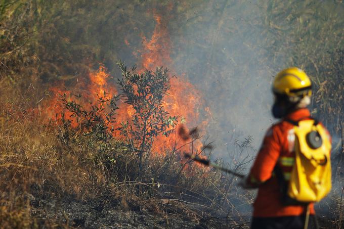 Požar v Amazonskem pragozdu | Foto: Reuters