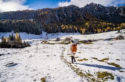 Družinski zimski izlet na planino Konjščica: preprost, slikovit in popoln za vse generacije