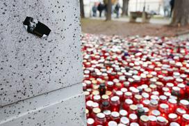 Protestni shod Novo mesto