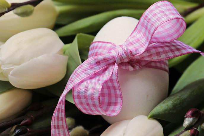 Velikonočni tulipani | Foto Pixabay