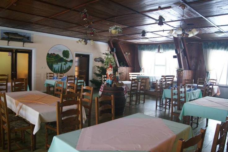 Bistro Jezero je bil do zdaj poznan po žabjih specialitetah. | Foto: 