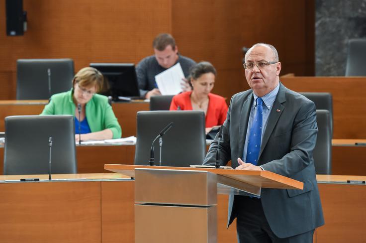 Če bi bil Horvat izvoljen, pa bi bil to že četrti predsednik DZ v tem mandatu, drugi iz vrst NSi.  | Foto: STA ,