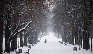 Obilno sneženje ohromilo Bolgarijo