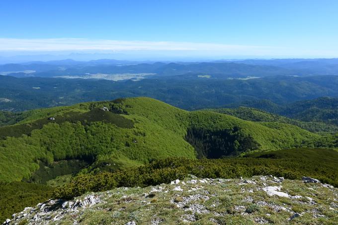 Pogled proti severu, nad kraška polja in vse do Kamniško-Savinjskih Alp | Foto: Matej Podgoršek