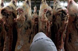 Inšpektorji zaprli eno največjih mesnopredelovalnih podjetij #video