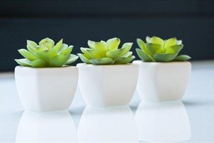 Polepšajte svojo pisarno