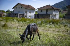 Reportaža Srebrenica