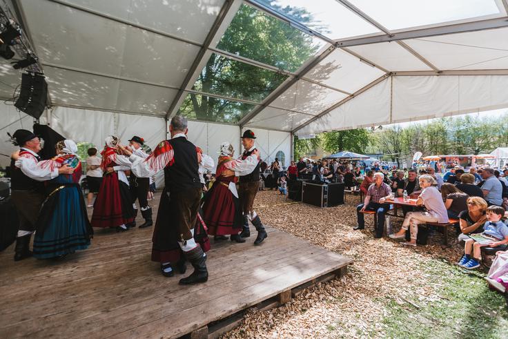 Festival čokolade, Radovljica | Foto: 