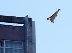 Ruski dron