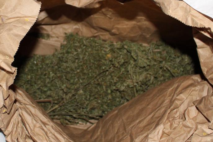 Zaseg prepovedanih drog, Črnomelj | Med hišno preiskavo so med drugim našli več zavojev posušenih rastlinskih delcev konoplje. | Foto PP Črnomelj